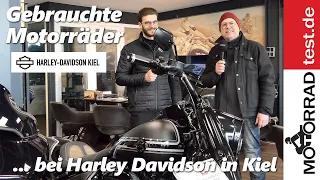 Gebrauchte Motorräder HD-Kiel | Welche gebrauchten Bikes gibt es derzeit bei Harley Davidson Kiel?