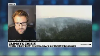 Arctic wildfires are 'only going to get worse'