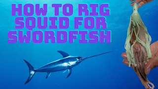 A Simple Way How To Rig Squid for Swordfish - Daytime Swordfishing - Easy Rig