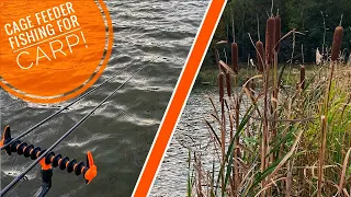 Cage Feeder Fishing For Carp !