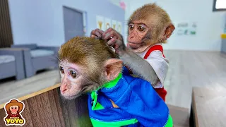 Smart YiYi helps grandpa take care of poor monkey