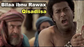 Qiso Murugo Leh || Bilaal ibnu Rawaax from Adoon to Sayidina Bilal || Captain Majid