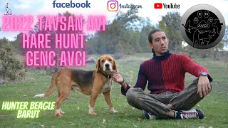 2022-KOPAYLA TAVŞAN AVI/28-Hunter Beagle Barut- ΚΥΝΗΓΙ ΛΑΓΟΥ- Hare Hunting-GENÇ AVCI