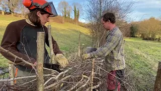 Laying a New Hedge, Jeremy Weiss, Devon Hedge Group