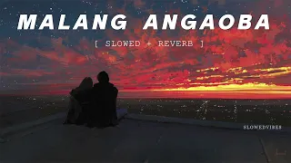 Malang Angaoba -Diana Moirangthem feat. Felix Yumnam| slowed reverb