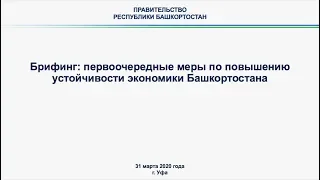 Брифинг: первоочередные меры по повышению устойчивости экономики Башкортостана 31 марта