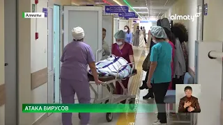 Вакцинация от гриппа началась в Алматы