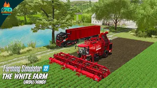 So many productions in the White farm of Farming Simulator 22