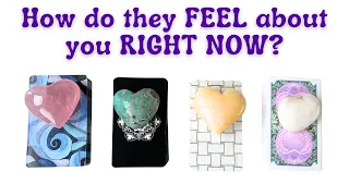 💏How does your person FEEL about you RIGHT NOW? 🩷PICK A CARD 🎴Timeless Love Tarot Reading