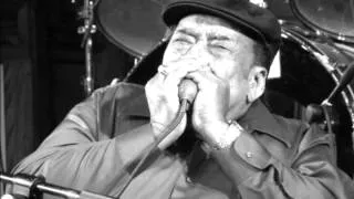 James Cotton Blues Band-Don't Start Me Talkin'