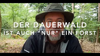 Missverständnisse um den Dauerwald