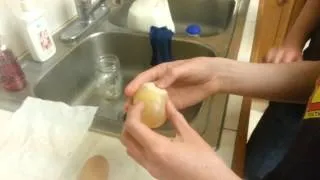 Egg Soaked For 48 Hours in Apple Cider Vinegar