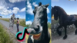 The Cutest HORSES TikTok Compilation 2022 #74