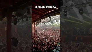 MEANWHILE IN IBIZA AT AMNESIA IBIZA CLOSING 2022