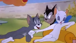 Tom and Jerry Cartoon 2019 | Springtime for Thomas