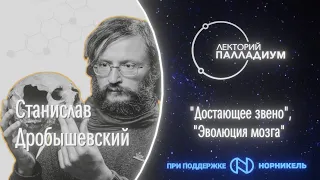 Станислав Дробышевский: "Достающее звено" , "Эволюция мозга"