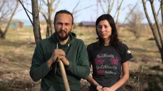 Органические ЭКО-Семена старинных сортов от Анатолия Орлова (Беларусь) на Здравое.рф