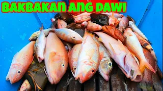 NAPAKARAMING ISDA sa Spot na'to Part 1