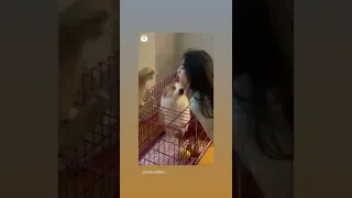 dog kiss girl 😂😂😂😂😂😂😂😂😂,❤️❤️❤️❤️❣️❣️❣️❣️❣️