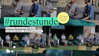 Mensch und Wildtier in der Stadt | #rundestunde Live-Talkshow beim Langen Tag der Kölner Stadtnatur