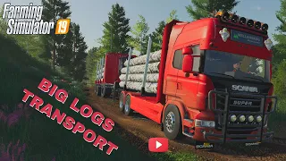 PILOT - Transporting Big Logs To Sawmill │SCANIA Truck │ Forestry│ Farming Simulator 19│Timelapse