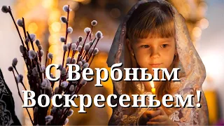 С Вербным Воскресеньем! Красивое поздравление С Вербным Воскресеньем. Открытка Вербное Воскресенье