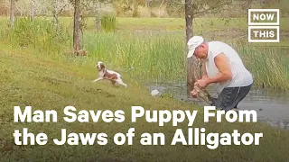 Florida Man Saves Puppy from Alligator | NowThis