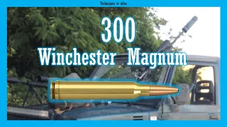 Le 300 Winchester Magnum: un calibre mal utilisé