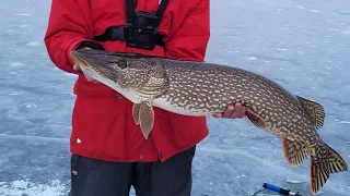 Big Early Ice Alberta Pike