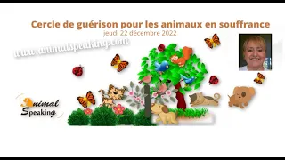 Cercle de guérison pour les animaux en souffrance du jeudi 22  décembre 2022 #22