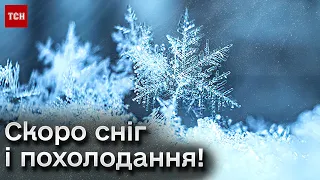 🥶 Скоро сніг і похолодання! Фініш "бабиного літа"!