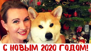 С новым годом 2020! Наша елка, новогодняя сервировка, прогулка и салют.