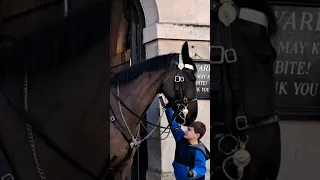 Kid gets to close changing of the guard #horseguardsparade