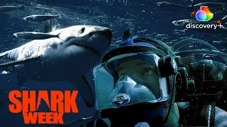 Emergency! Dangerous Underwater Repairs | The Haunting of Shark Tower | discovery+