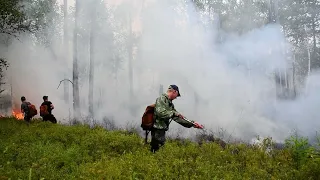 В Приамурье тушат природные пожары