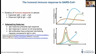 IgA producing cells in health and disease by Dr. Jen Gommerman