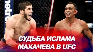 Прогноз карьеры наследника Хабиба Судьба Махачева в UFC.Какие враги ожидают Ислама?  #МашаXSPORT №83