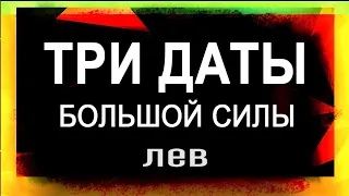 ЛЕВ: Три Даты Мощной Силы! Что прописано в книге Судьбы? | ТАРО ПРОГНОЗ