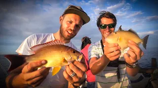 HOW MANY SPECIES CAN WE CATCH? 🇱🇰🐠 Galant vs Hajmat (Sri Lanka)