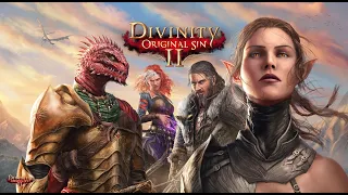 Divinity Original Sin 2 женское прохождение#10