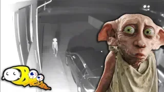 Let's Explain This Dobby Like Elf/Creature Caught On Camera In Woman's Driveway