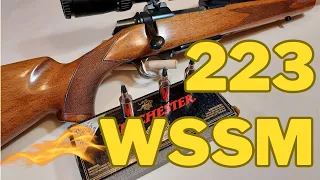 Video # 22 - 223 WSSM in a Browning A-Bolt
