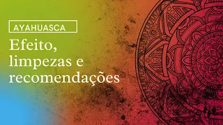 AYAHUASCA | EP 03 | Efeitos e limpezas espirituais