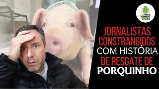 PORQUINHO ESCAPA DA MORTE, CONSTRANGE JORNALISTAS E ACIONA PROCON