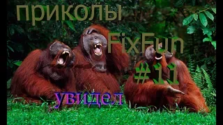 ПРИКОЛЫ 2018 , подборки приколов 2018 #11 best coub |FixFun