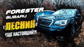 SUBARU FORESTER - 20лет лидер в кроссоверах🔝Атмо или Турбо? "А я Никита, люблю 22см... клиренса"😈