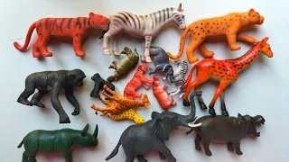 wild animal toys collection part-2 zebra, goat, rhino, lion, tiger, gorilla,deer, giraffe@idea's421m