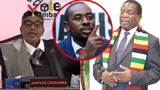 Nelson Chamisa CCC Has Rejected ZEC Presidential Election Results As Fake, ZANU PF Mnangagwa Rigged