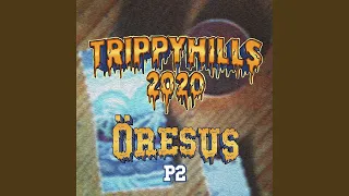 Trippy Hills 2020 (P2)