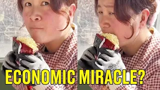 China's Economic Miracle is a LIE!